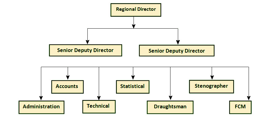 Organization Structure Of FSI, EZ